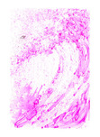 Tom Everhart Tom Everhart Venice Moon Dogg E V (JE)